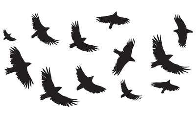 Obraz premium Flying birds silhouettes on white background