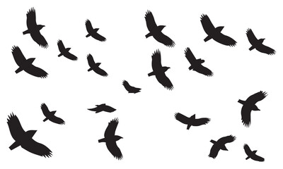 Flying birds silhouettes on white background