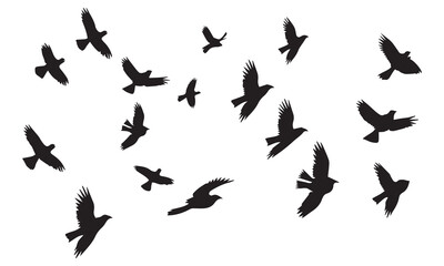 Flying birds silhouettes on white background