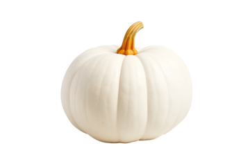 White pumpkin PNG with transparent background for halloween and fall decorations, isolated white pumpkin clipart for seasonal design projects and digital artwork