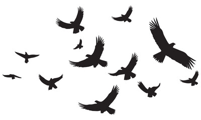 Flying birds silhouettes on white background. Vector illustration. isolated bird flying. tattoo design