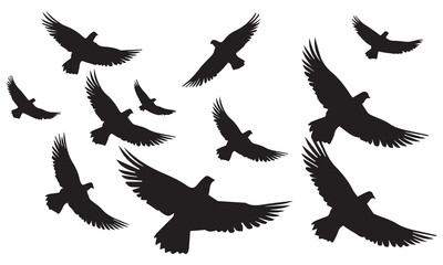 Flying birds silhouettes on white background. Vector illustration. isolated bird flying. tattoo design