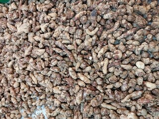 close up of aromatic ginger in the market