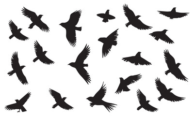 Silhouette Vector Of Condor Flying birds
