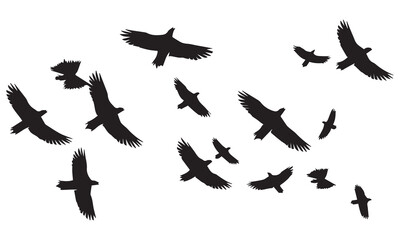 Silhouette Vector Of Condor Flying birds