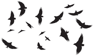 Silhouette Vector Of Condor Flying birds
