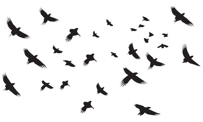 Silhouette Vector Of Condor Flying birds