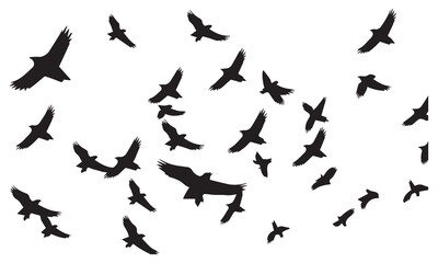 Naklejka premium Silhouette Vector Of Condor Flying birds