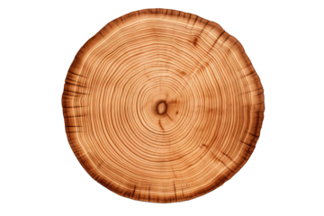 Wooden Circle Cutout with Transparent PNG Background for Creative Design Projects