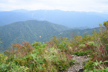 登山道から見た景色