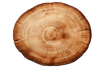 Obraz premium Wooden Circle Cutout with Transparent PNG Background for Creative Design Projects