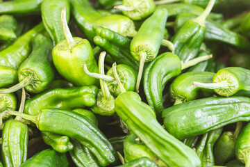 Small green peppers or chili peppers in very close-up on a market stall