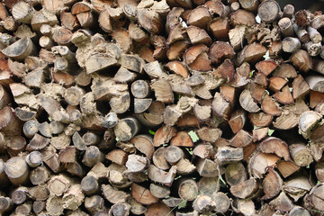 Large pile of chopped firewood