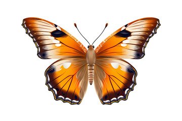 Fototapeta premium Beautiful brown butterfly with intricate wing patterns on transparent background in PNG style for nature and insect-themed designs