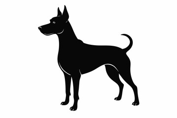Bella dog black silhouette vector, Dogs and puppies in different breed, Bella, corgi, golden retriever, puppy, bulldog, retriever, 
