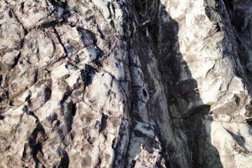 Close-up of a mountain rock with an abstract surface.