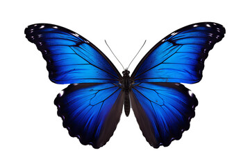 Obraz premium Beautiful blue butterfly PNG style on transparent background for digital art and design projects