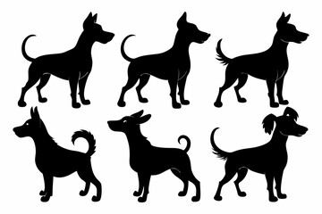 Bella dog black silhouette vector set, isolated black silhouette of a dog collection, Set of dogs breed silhouette vector
