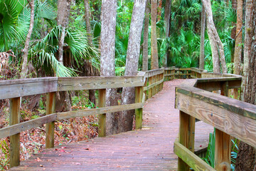 Highlands Hammock State Park in Florida