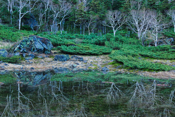 鏡池　群馬県　草津白根山