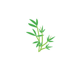 Bamboo leaf vector icon