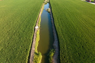 view of paddy field 