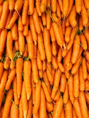 Natural pattern of fresh washed organic carrots. Full of many clean carrots vegetable background.