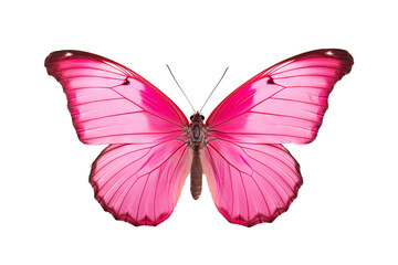 Obraz premium Beautiful pink butterfly PNG with transparent background for digital art and design projects
