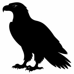 Eagle vector illustration, Bird isolated on white, eagle silhouette, Bald Eagle vector art