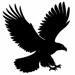 Eagle vector illustration, Bird isolated on white, eagle silhouette, Bald Eagle vector art