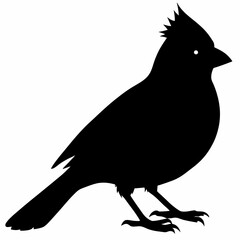 Cardinal vector illustration, bird isolated on white,Cardinal silhouette, Bald bird vector art