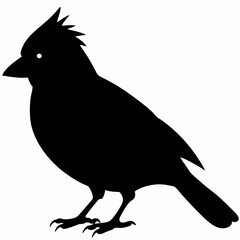 Cardinal vector illustration, bird isolated on white,Cardinal silhouette, Bald bird vector art