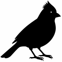 Cardinal vector illustration, bird isolated on white,Cardinal silhouette, Bald bird vector art
