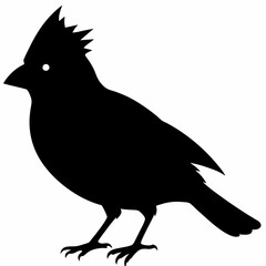 Cardinal vector illustration, bird isolated on white,Cardinal silhouette, Bald bird vector art
