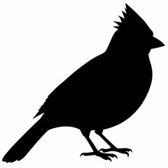 Cardinal vector illustration, bird isolated on white,Cardinal silhouette, Bald bird vector art