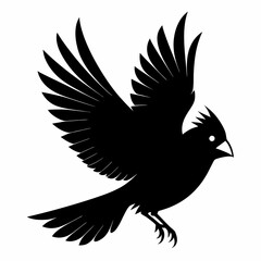 Cardinal vector illustration, bird isolated on white,Cardinal silhouette, Bald bird vector art