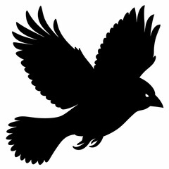 Cardinal vector illustration, bird isolated on white,Cardinal silhouette, Bald bird vector art