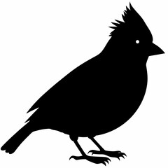 Cardinal vector illustration, bird isolated on white,Cardinal silhouette, Bald bird vector art