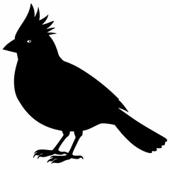 Cardinal vector illustration, bird isolated on white,Cardinal silhouette, Bald bird vector art