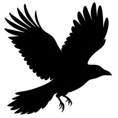 Crow vector illustration, bird isolated on white,Crow silhouette, eagle vector art