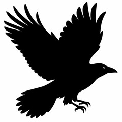 Crow vector illustration, bird isolated on white,Crow silhouette, eagle vector art