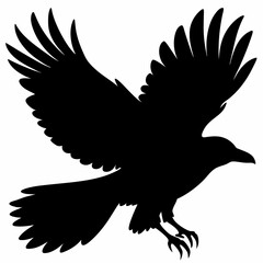 Crow vector illustration, bird isolated on white,Crow silhouette, eagle vector art