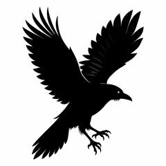Crow vector illustration, bird isolated on white,Crow silhouette, eagle vector art