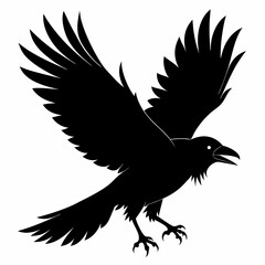 Crow vector illustration, bird isolated on white,Crow silhouette, eagle vector art