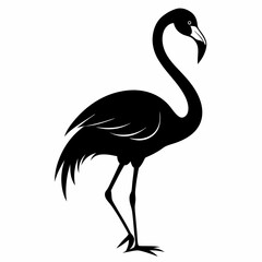 Flamingo vector illustration, bird isolated on white, Flamingo silhouette, swan vector art