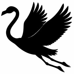 Flamingo vector illustration, bird isolated on white, Flamingo silhouette, swan vector art