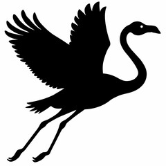 Flamingo vector illustration, bird isolated on white, Flamingo silhouette, swan vector art