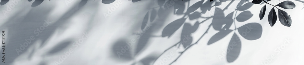Aufkleber abstract shadows of leaves on a white background banner with copy space, a mockup for product presen