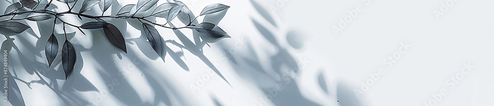 Poster abstract shadows of leaves on a white background banner with copy space, a mockup for product presen