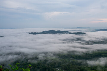 clouds over the forest.